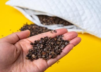 Benefits Of Buckwheat Pillows