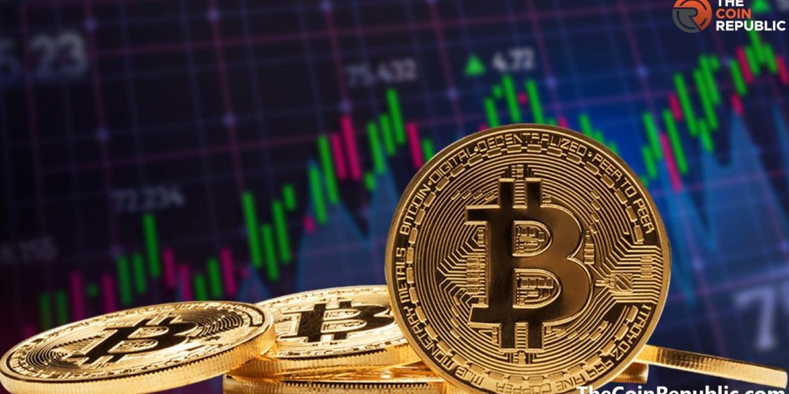 Contact The Best Copy Trading Platform For Winning