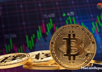 Contact The Best Copy Trading Platform For Winning