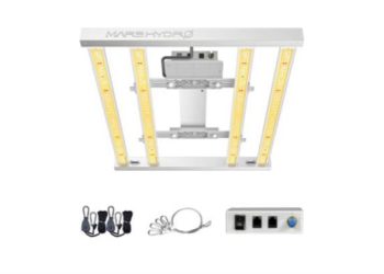 Importance of LED grow lights for cannabis cultivation  