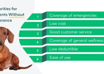 Best Pet Insurance Benefits for Each Breed